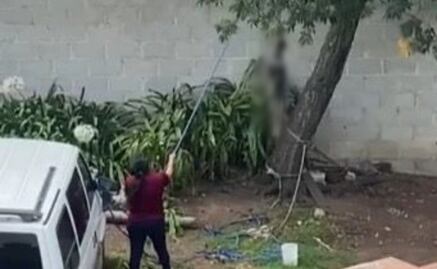 Abren carpeta de investigación por caso de maltrato animal en Hidalgo; mujer colgó a su perro de un árbol