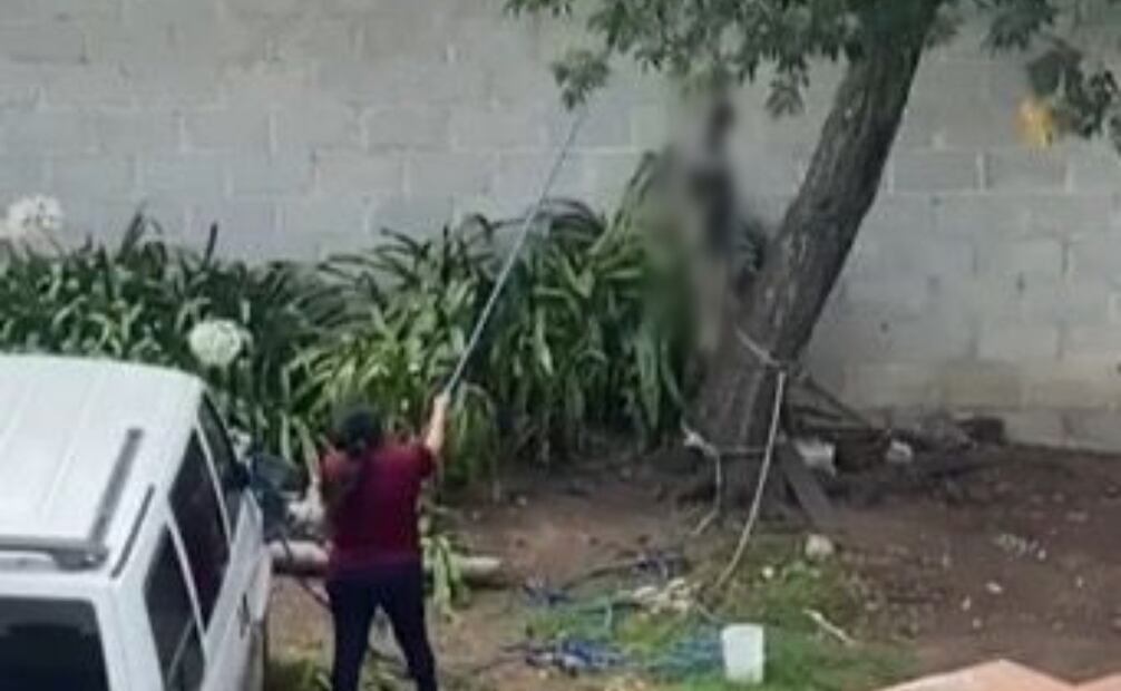 Inician proceso legal, por maltrato animal a un canino en Tulancingo Hidalgo (02/06/2025). Foto: Especial