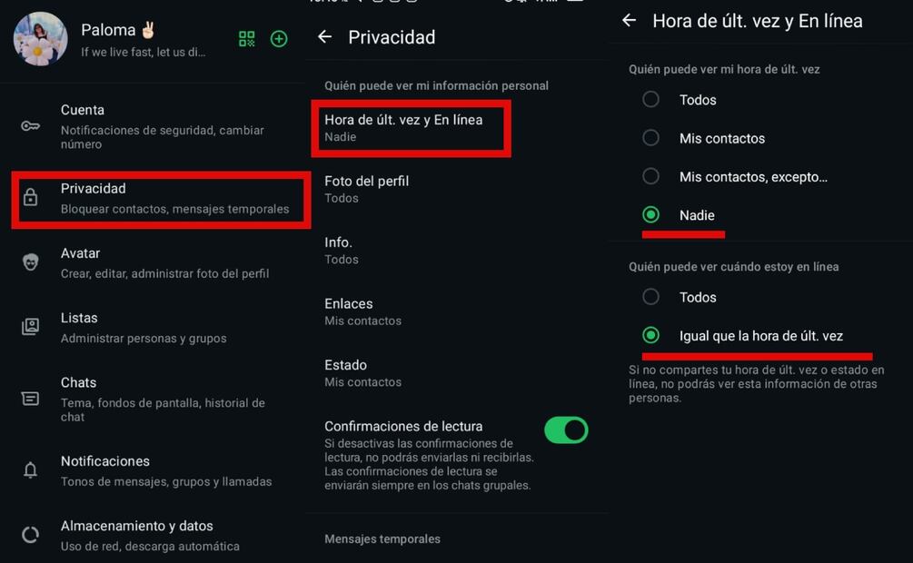 modo espía de WhatsApp. Imagen: captura de pantalla