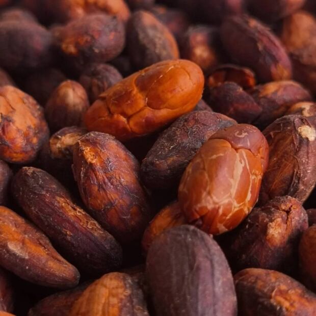 Este chocolate es elaborado con ayuda de un pájaro carpintero