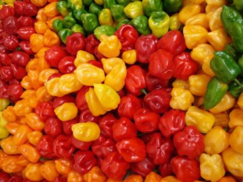 16 things which can only be produced in Mexico