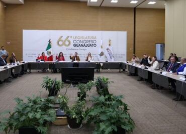 Piden destituir a diputada de Guanajuato por dar “like” a post de Trump sobre dos géneros; preside Comisión para Igualdad de Género