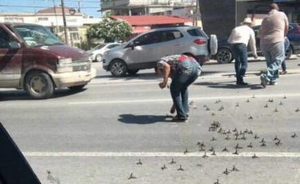 Enfrentamientos y persecuciones dejan bloqueos en Reynosa