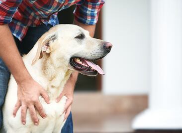 Hombre asegura que su perro le disparó mientras jugaban