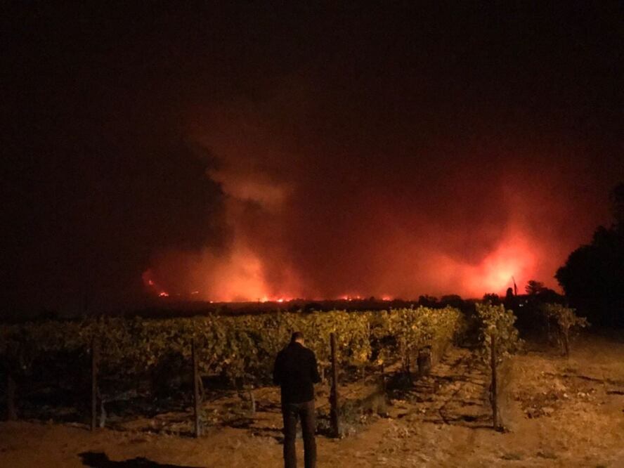 Foto tomada del Twitter: @MikaylaSegura