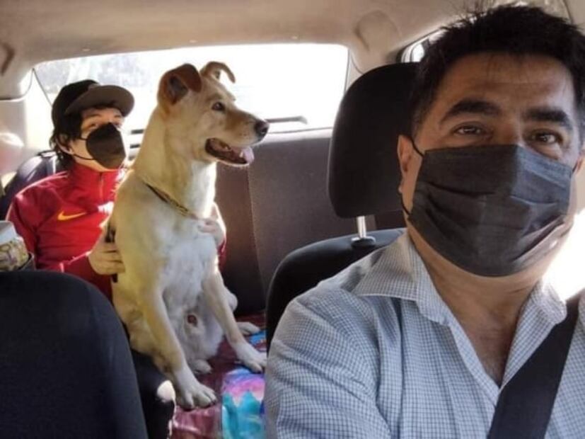 Taxista de perros de la CDMX se vuelve viral 