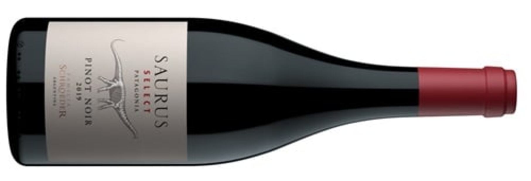 Para catar en Qatar, vinos mundialistas