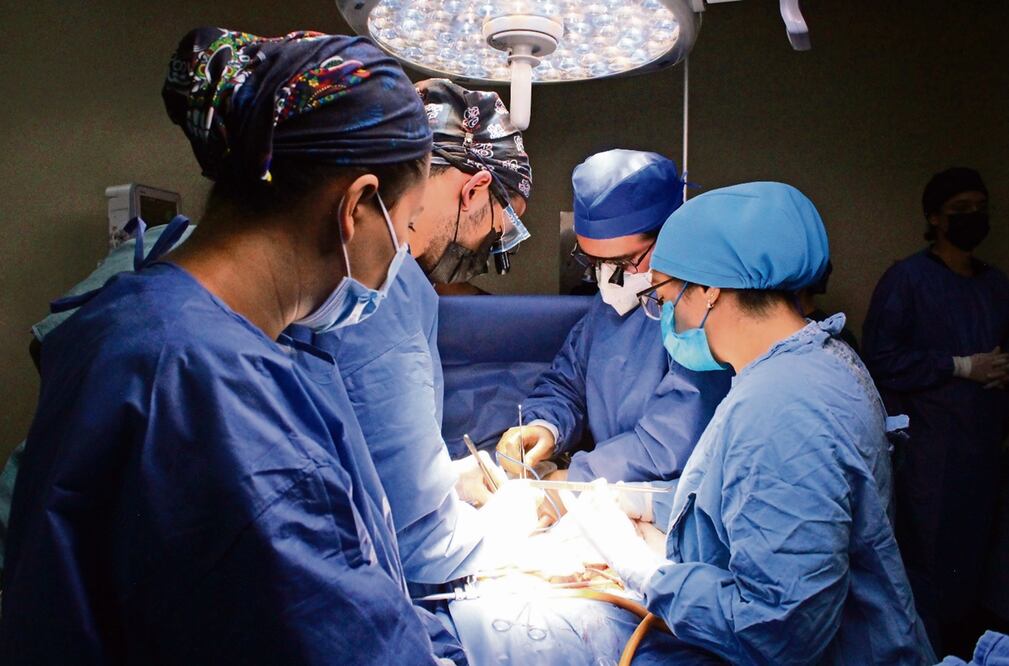 Médicos mientras trasplantan un órgano.
Foto: Especial