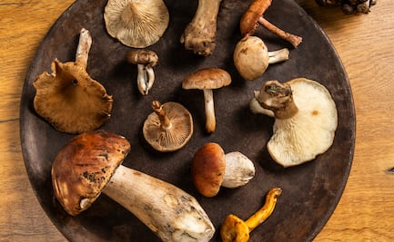 7 restaurantes con platos inspirados en los hongos de temporada