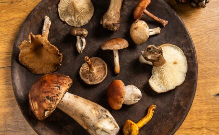 7 restaurantes con platos inspirados en los hongos de temporada