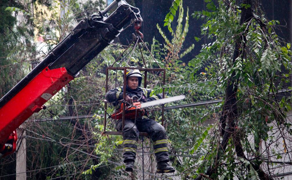 Equipo de Bomberos comienza el trabajo para retirar el árbol caído del vehículo. Foto: Luis Camacho/ El Universal