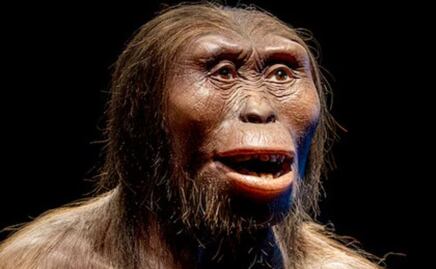 La importancia del esqueleto de Lucy para la ciencia; revela nuestros orígenes