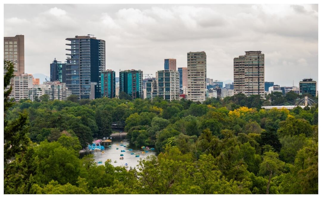 5 lugares para visitar el Bosque de Chapultepec totalmente gratis. Imagen: Pexels