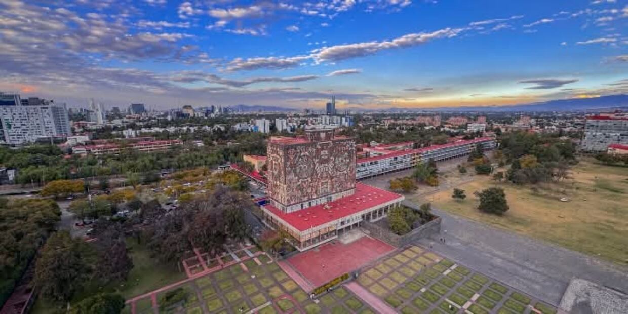 La Biblioteca Central alberga una gran colección de libros, revistas y tesis. Foto: UNAM