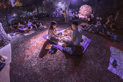 Diciembre en el Bosque de Chapultepec: qué hacer y ver