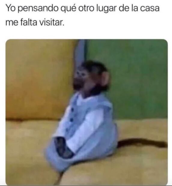 Instagram 2020: el año en memes