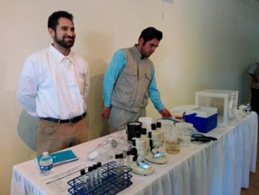 Buscan modificar mosquitos genéricamente para evitar dengue en BCS