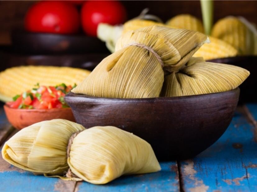 Impartirán taller para aprender a hacer tamales con insectos