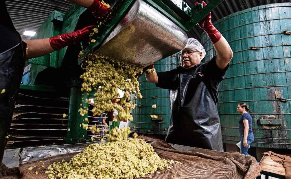 Un cura bendice la manzana que se cosechó durante el año, echa agua bendita sobre la máquina que lava y pica la manzana, y la prensa hidráulica que se encarga de sacar el jugo. Foto: Gabriel Pano / EL UNIVERSAL