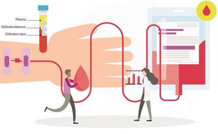 Del plasma a los esteroides: evalúan terapias para Covid