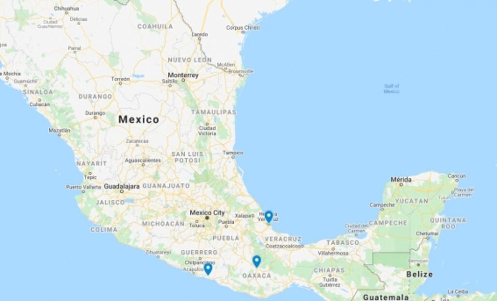 Mexico seeks to vindicate the Afro-Mexican community