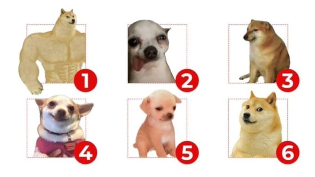 Del Día del Perro a Reyna Ramírez y Dani Alves, los memes de esta semana son de chile, mole y pozole