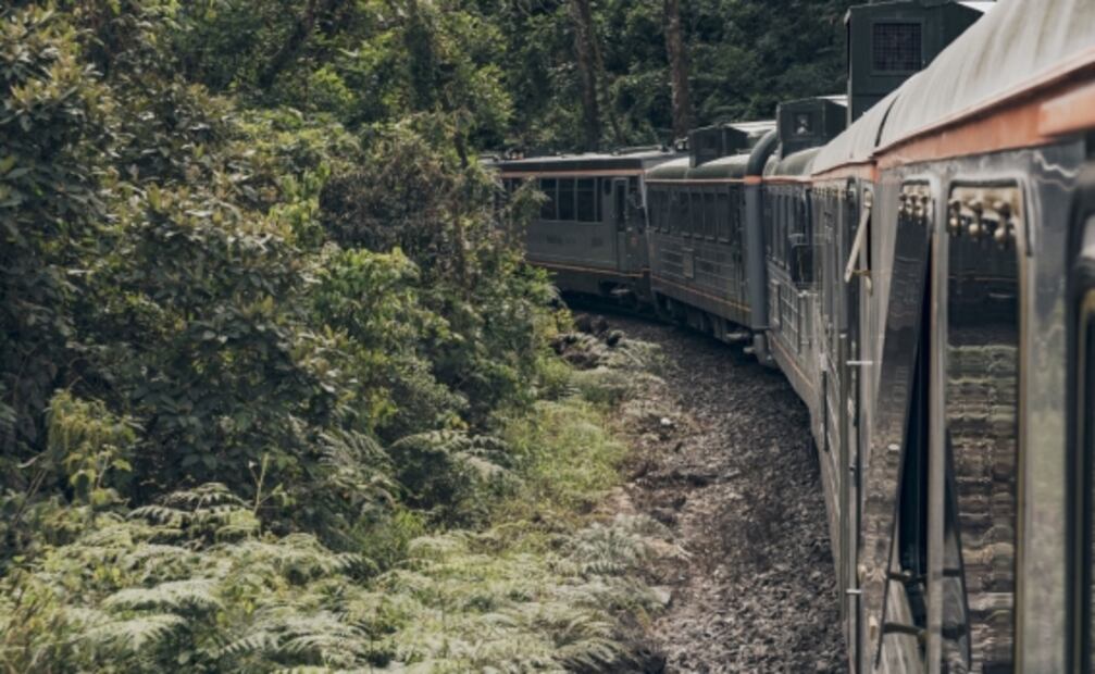 Tips que debes saber antes de ir a Machu Picchu