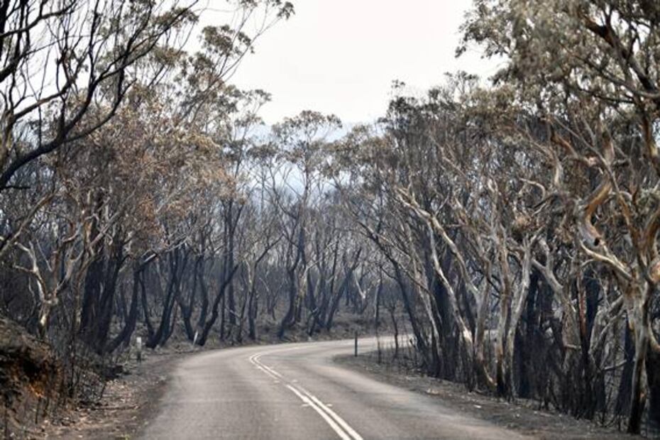 Australia registra su día más caluroso en plena ola de incendios