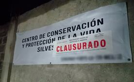 Profepa clausura temporalmente "Animal Experience" y asegura nueve ejemplares tras escape del tigre Kenzo; detecta irregularidades