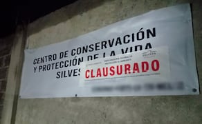 PROFEPA clausura Animal Experience y asegura nueve ejemplares tras escape de Kenzo. Foto: Especial