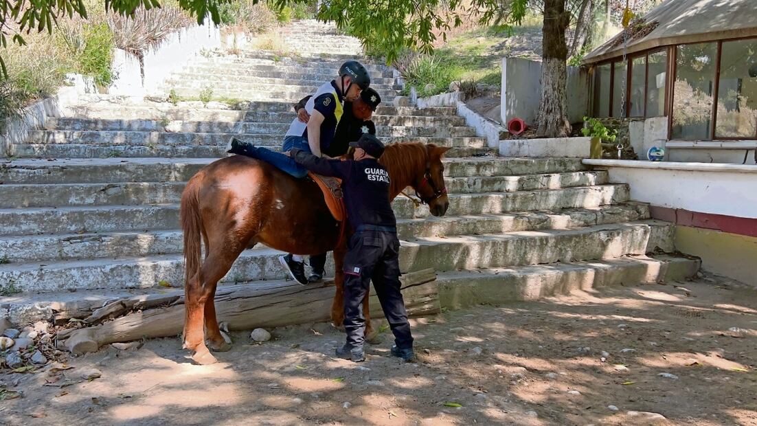 En la equinoterapia tratamos de que el caballo le dé motivación a los
niños, para que se desestresen, explican los agentes de la SSP. Foto: Roberto Aguilar y Especial 