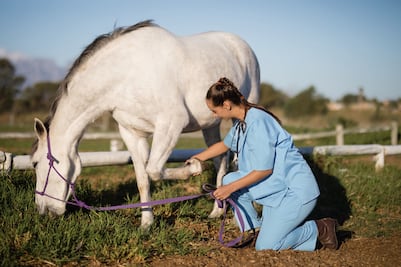 Alertan por virus en caballos que también puede afectar a humanos