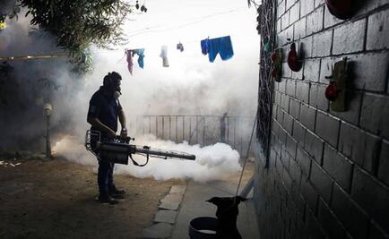 Chiapas against Zika virus 