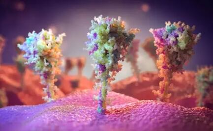 Proteína pico del coronavirus puede causar por sí sola daños pulmonares