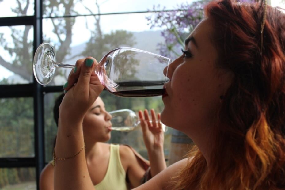 Vino sin alcohol, ¿lo probarías?