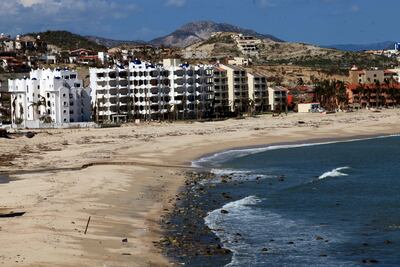 Paradise Lost: Los Cabos, most dangerous city in the world 