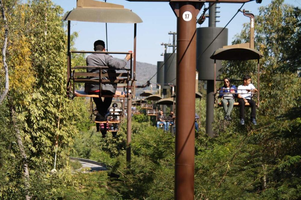 Foto: Zoológico de Guadalajara