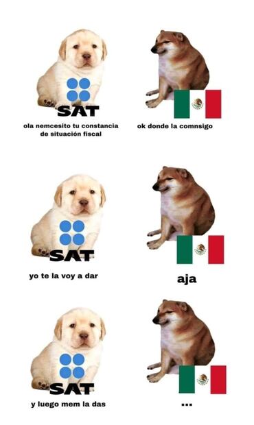 Constancia de situación fiscal desata memes en las redes sociales