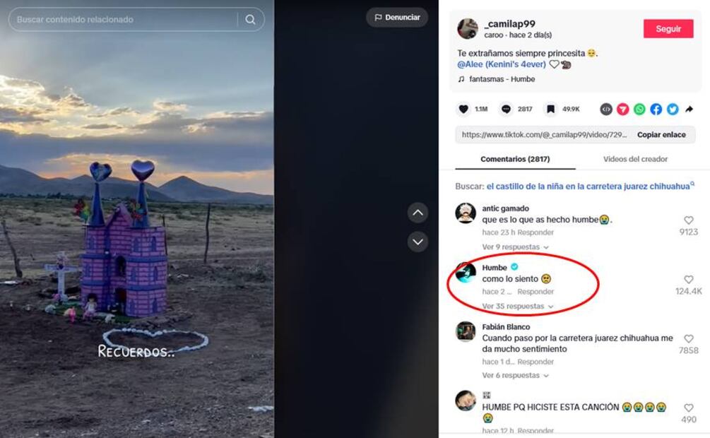Humbe reacciona al nuevo trend de TikTok. Foto: Captura de pantalla @_camilap99