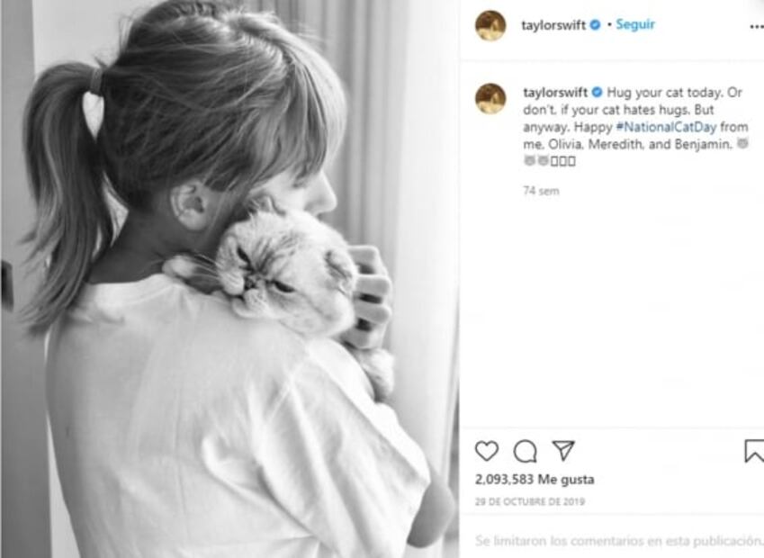 Amor y compromiso por los animales, estos famosos hacen todo por ellos