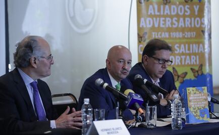 México es la solución y no el problema de EU, afirma Salinas sobre TLCAN