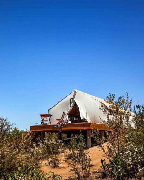 Selección de la editora: 6 lugares increíbles para hacer glamping en el Valle de Guadalupe