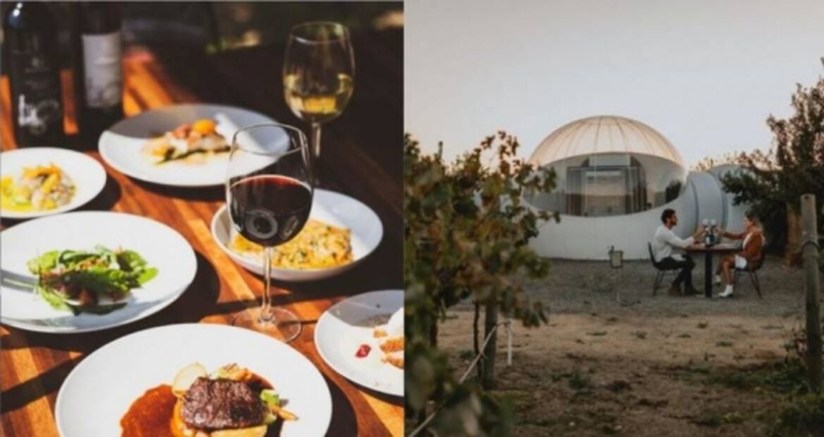 Comer, beber y descansar entre viñedos durante la vendimia en Baja 