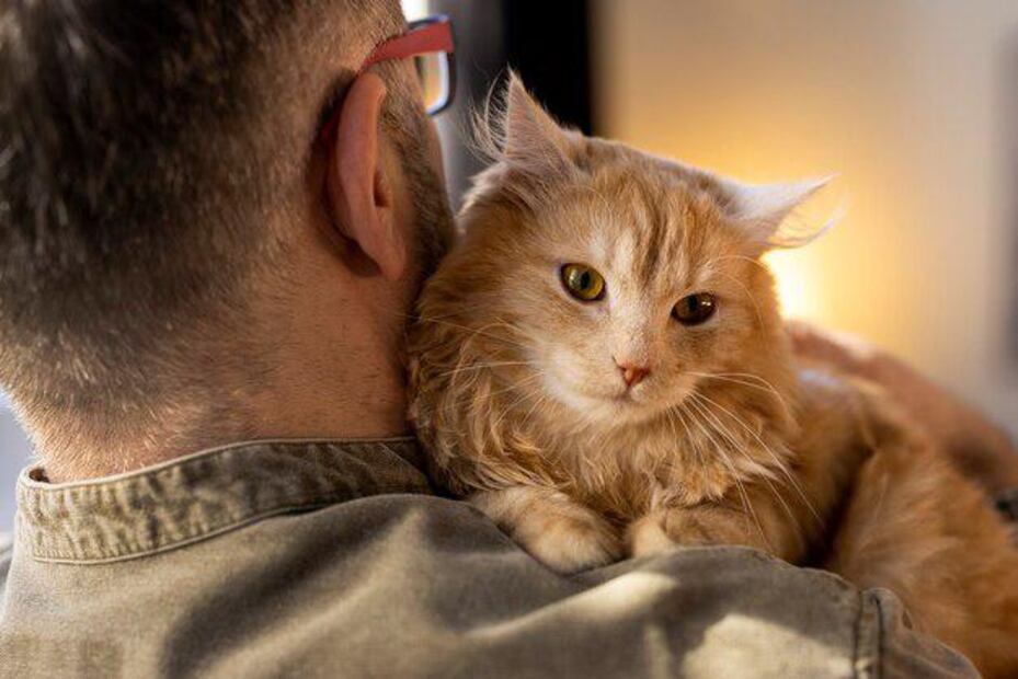 Este nivel de sensibilidad convierte a los gatos en seres fascinantes. Fuente: Freepik.
