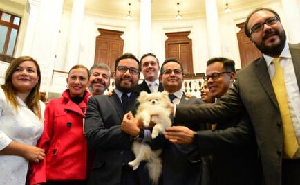 Aprueban crear el Instituto de Atención Animal