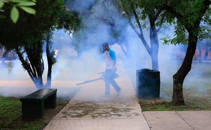 Piden declarar emergencia por dengue en Nuevo León; se registran más de 5 mil casos