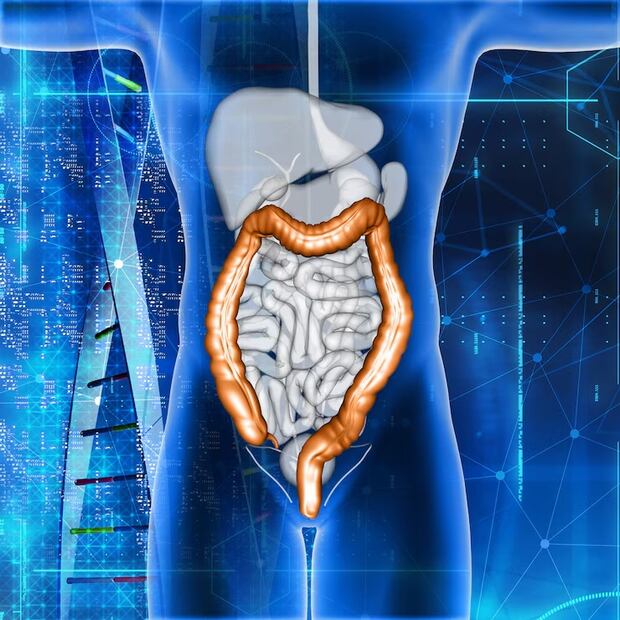 Cómo cuidar tu intestino. Fuente: Freepik