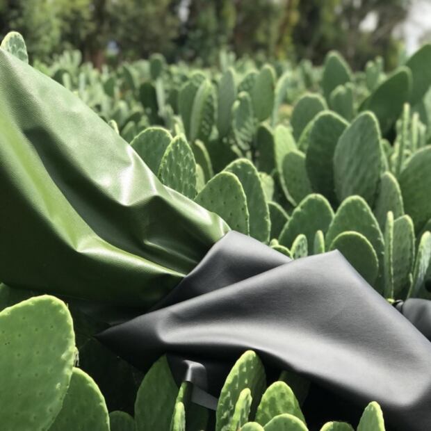 Mexicanos caminan hacia el futuro con piel de nopal