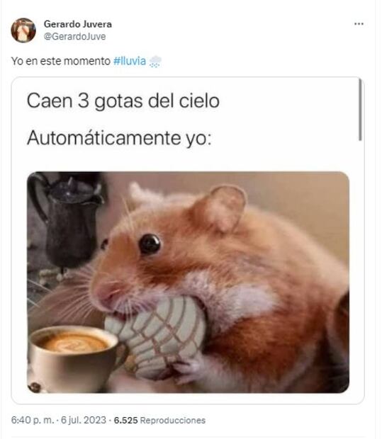 Meme por lluvias en CDMX