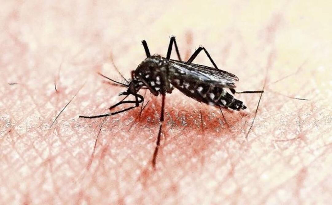 Photo: Archive/El Universal